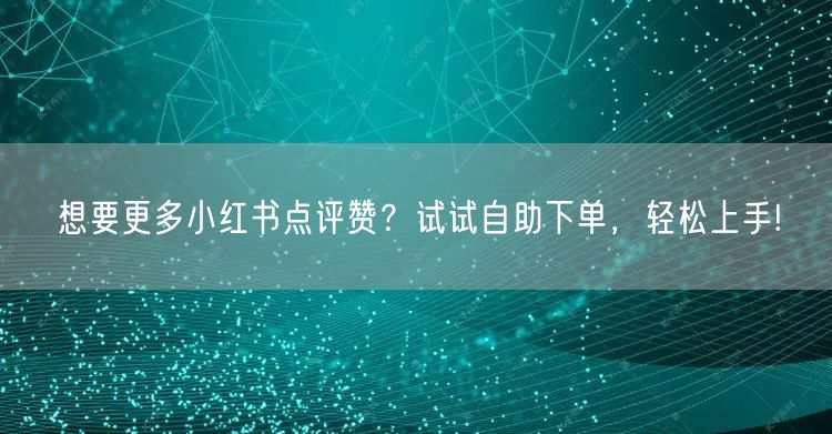 想要更多小红书点评赞?试试自助下单,轻松上手!
