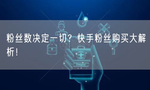 粉丝数决定一切?快手粉丝购买大解析!