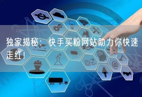 独家揭秘:快手买粉网站助力你快速走红!