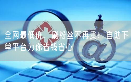 全网最低价，刷粉丝不再贵！自助下单平台为你省钱省心