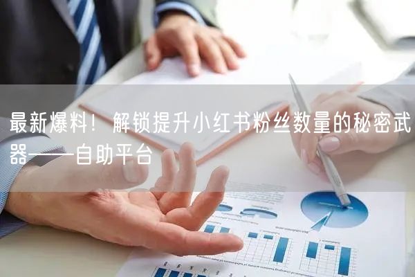 最新爆料！解锁提升小红书粉丝数量的秘密武器——自助平台