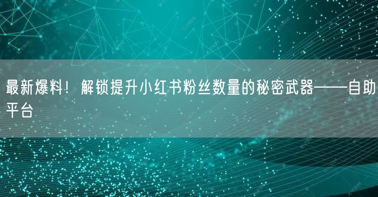 最新爆料！解锁提升小红书粉丝数量的秘密武器——自助平台