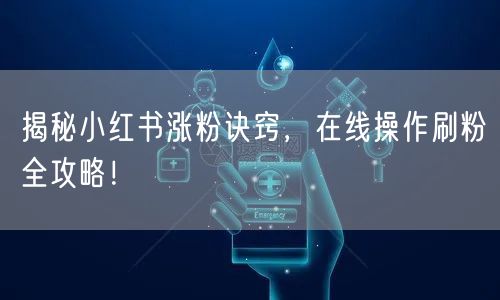 揭秘小红书涨粉诀窍,在线操作刷粉全攻略!