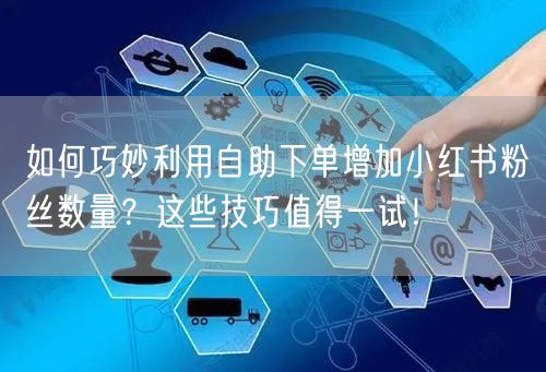 如何巧妙利用自助下单增加小红书粉丝数量？这些技巧值得一试！