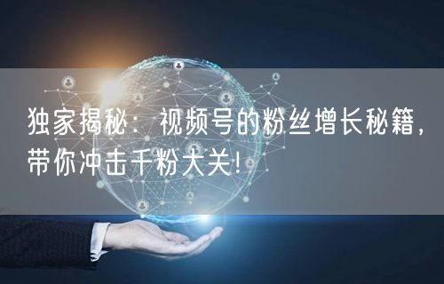 独家揭秘:视频号的粉丝增长秘籍,带你冲击千粉大关!